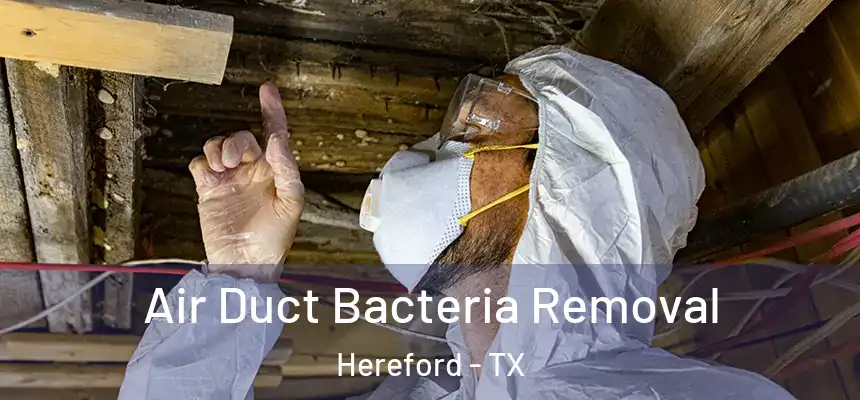  Air Duct Bacteria Removal Hereford - TX