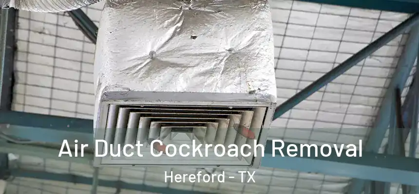  Air Duct Cockroach Removal Hereford - TX