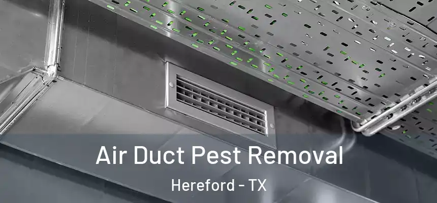 Air Duct Pest Removal Hereford - TX