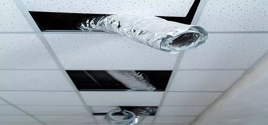 Our Air Duct Pet Hair Removal Services in Hereford, TX