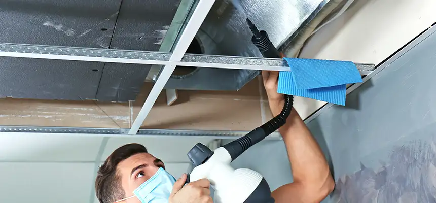 Our Air Duct Rodent Removal Services in Hereford, TX