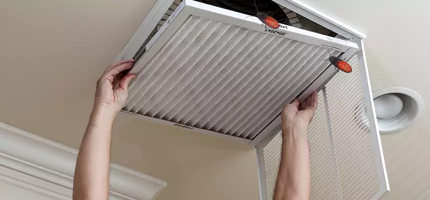 Our Insect Removal from Air Ducts Services in Hereford, TX