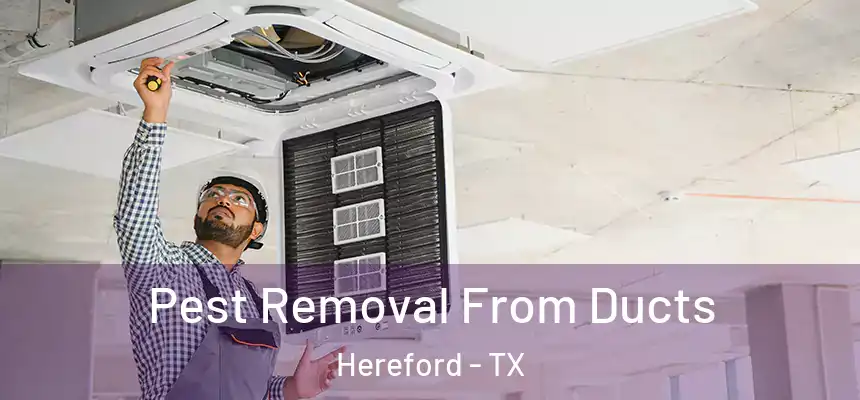  Pest Removal From Ducts Hereford - TX