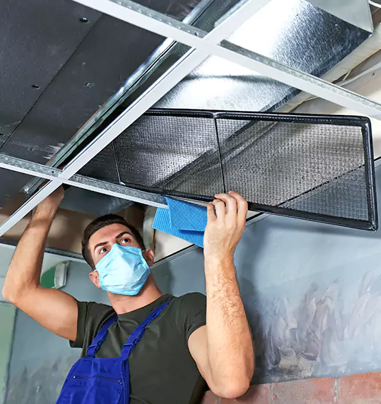 About Air Duct Bacteria Removal in Hereford