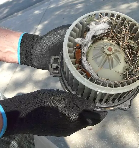 About Air Duct Mice Removal in Hereford, TX