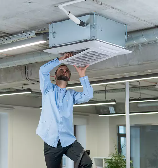 Advanced Rodent Droppings In Vents in Hereford, TX