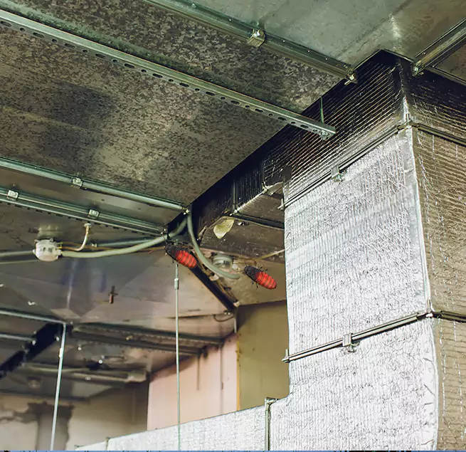 Why Homeowners & Businesses Trust Us in Hereford, TX?