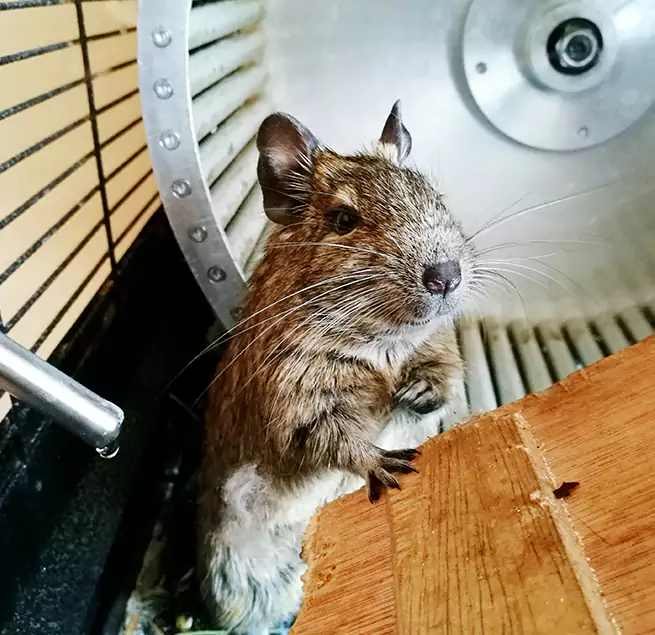 Why Homeowners & Businesses Trust Us Hereford, TX?