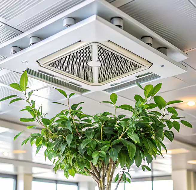 Why Homeowners & Businesses Trust Us in Hereford, TX?